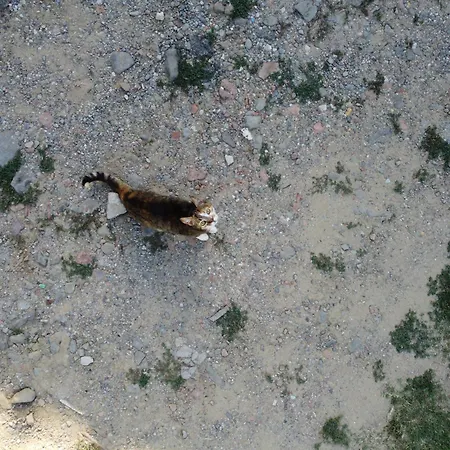 La Casa Del Nonno - Tiny House Semesterbostad Reggello