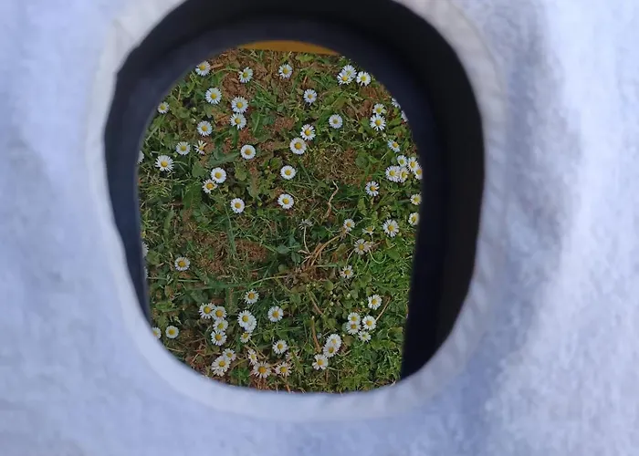 La Casa Del Nonno - Tiny House Dom wakacyjny